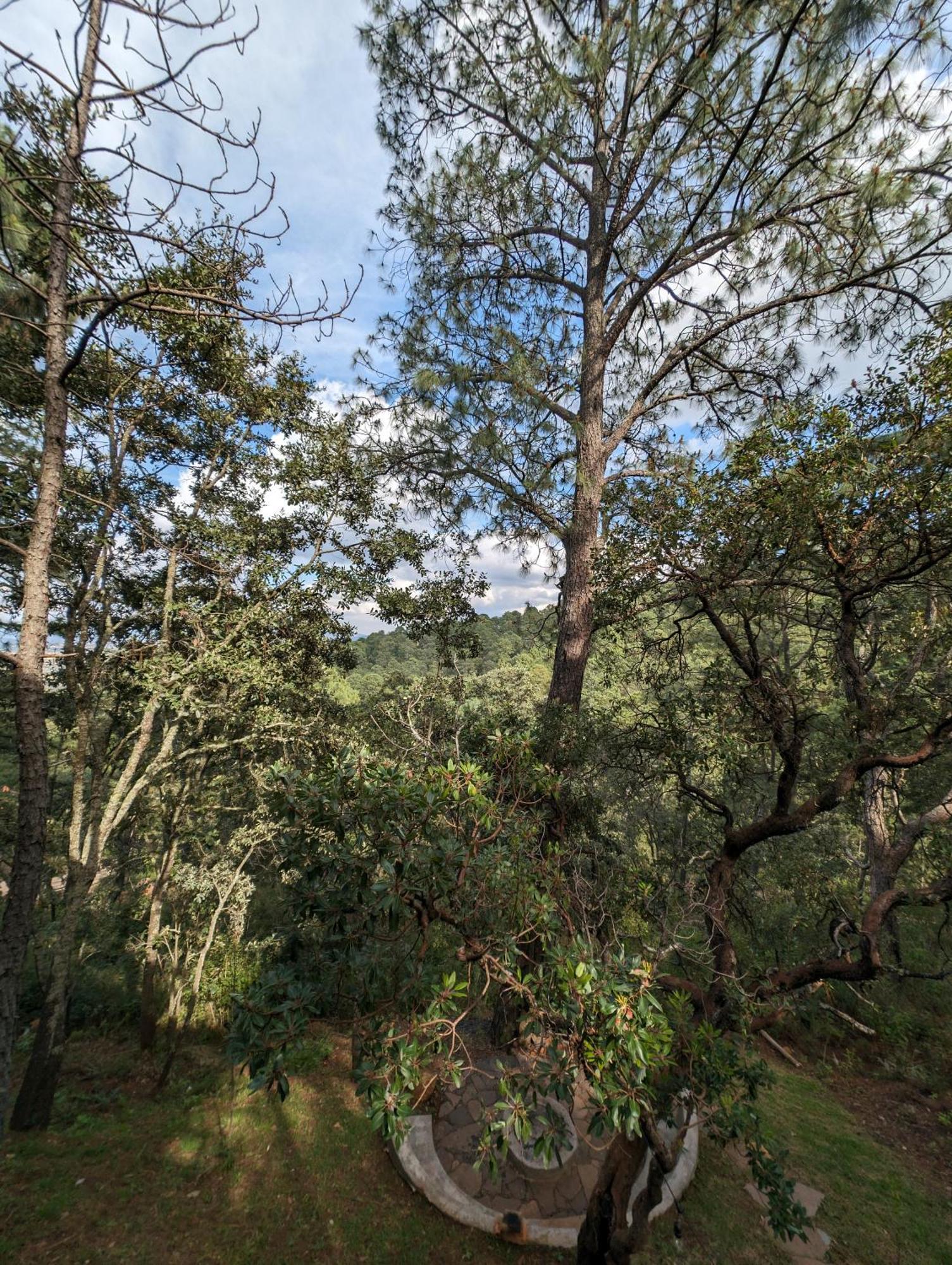 Cabana La Finca Mazamitla Esterno foto